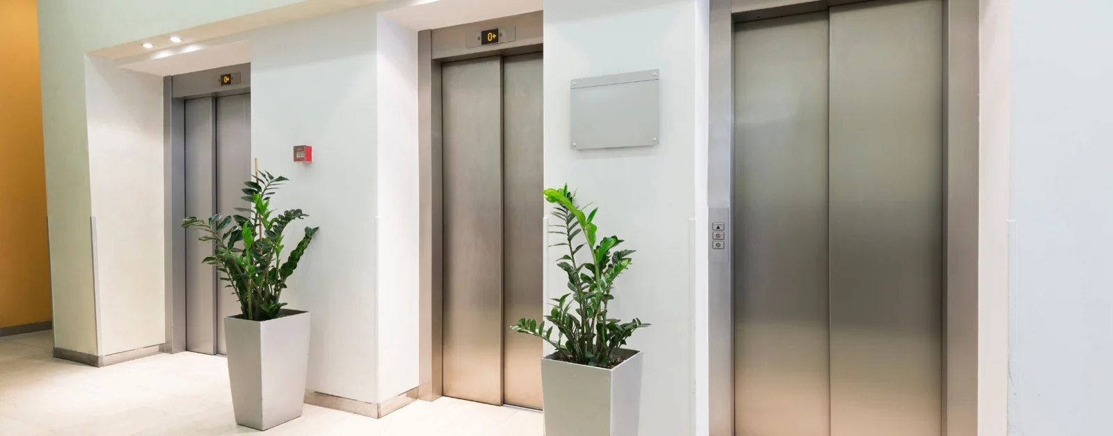 Portal y ascensores para el mantenimiento de comunidades en Alicante